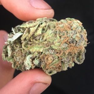 Meet your Posher, Esau